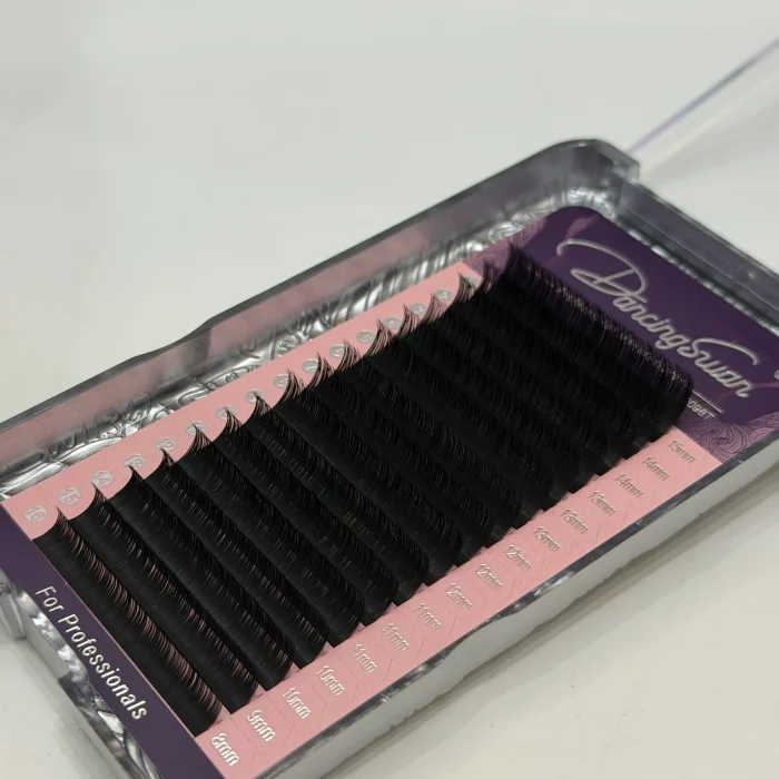 دنسینگ سوان